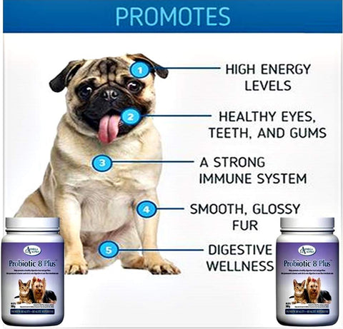 Omega Alpha Pet Probiotic 8 Plus - Probiotics, Enzymes, and Fibre for Better ...